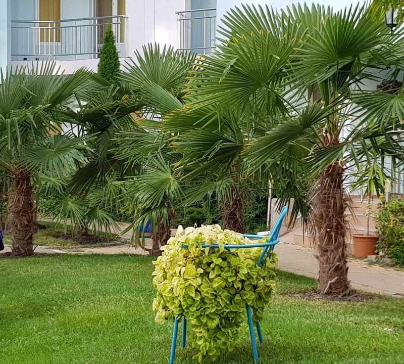 Yassen Holiday Village Slantschew brjag Exterior foto