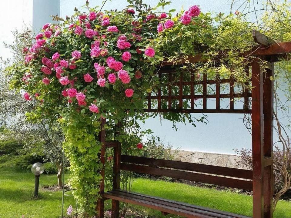 Yassen Holiday Village Slantschew brjag Exterior foto